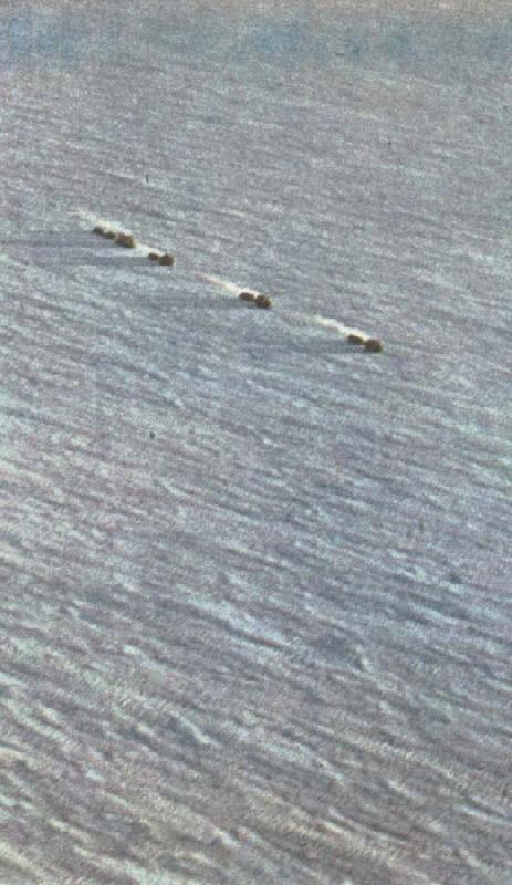 william r clark fuchs karavan av snovesslor startar mot sydpolen fran shackletonlagret vid weddellhavet oil painting image